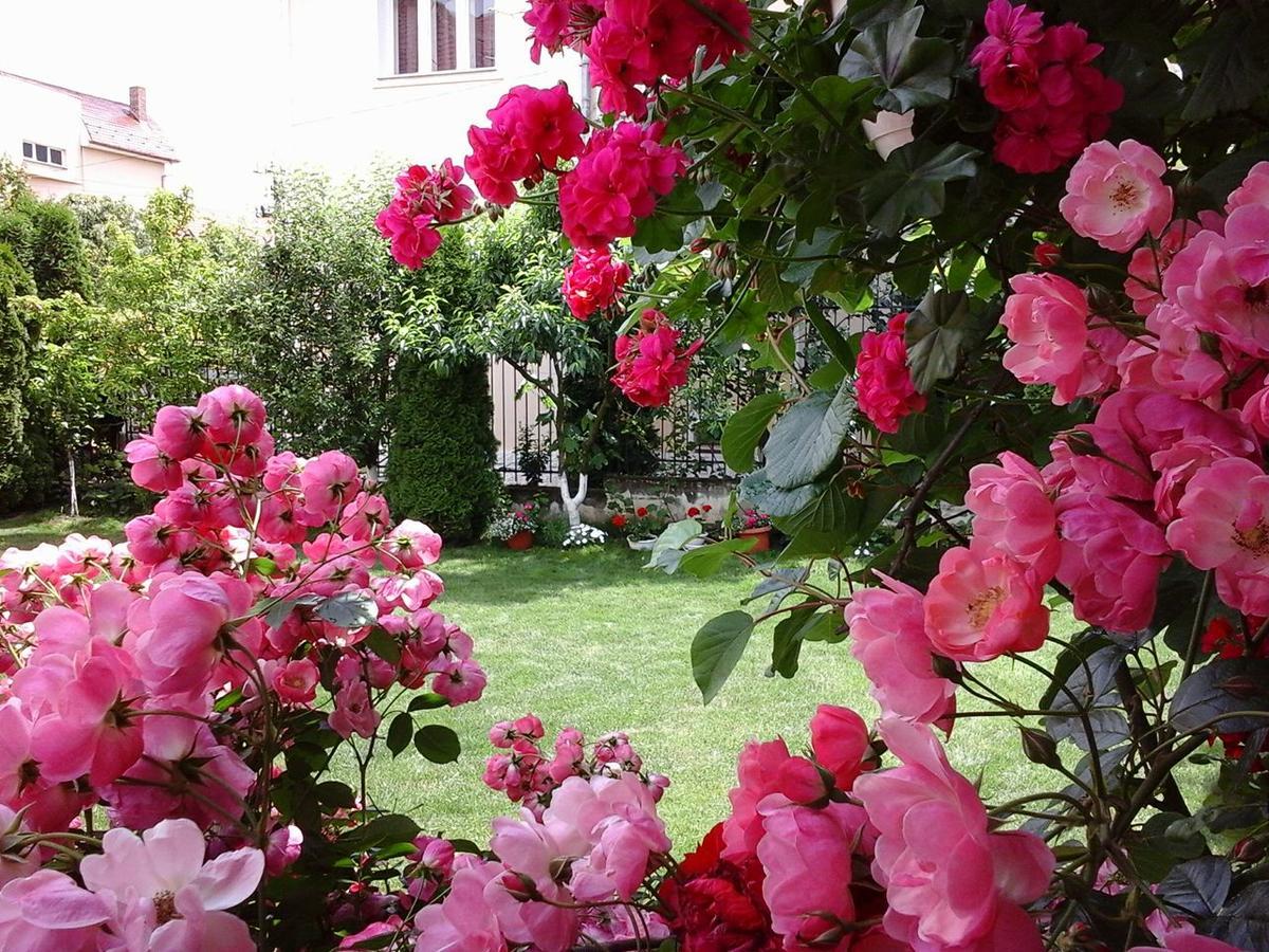Casa Monica Hotel ไบเลเฟลิกซ์ ภายนอก รูปภาพ