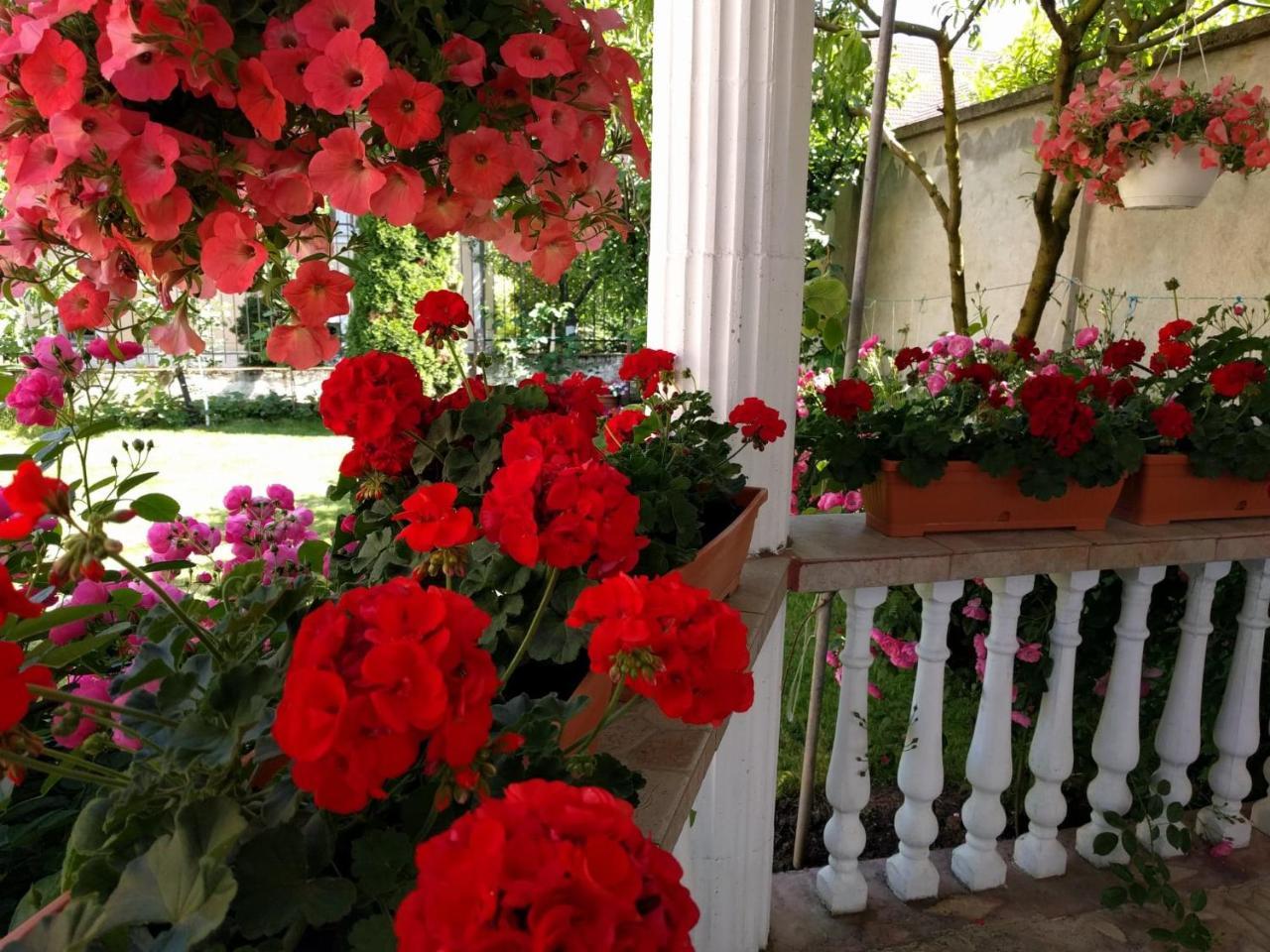 Casa Monica Hotel ไบเลเฟลิกซ์ ภายนอก รูปภาพ